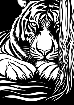 切り絵図案　トラ 切り絵,図案,線画,塗り絵,トラ,野生,動物のイラスト素材