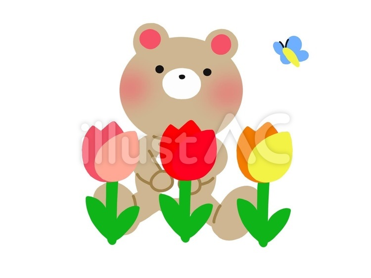 くまとチューリップ くまとチューリップ くま,動物,生き物のイラスト素材
