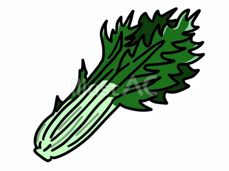 水菜 野菜,水菜,ベジタブルのイラスト素材