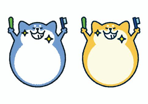 歯みがき柴犬ぱすてる（コピースペース） 犬,柴犬,日本犬,赤柴,黒柴,歯みがき,歯ブラシ,おやつ,ガム,コピースペースのイラスト素材