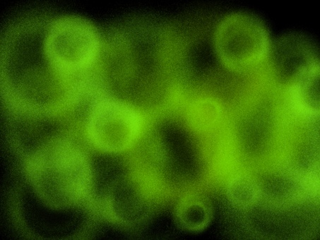 緑のパーティクル背景　透過あり 背景,キラキラ,玉ボケ,パーティクル,エフェクト,デコレーション,光沢,豪華,エネルギー,煌めきのイラスト素材