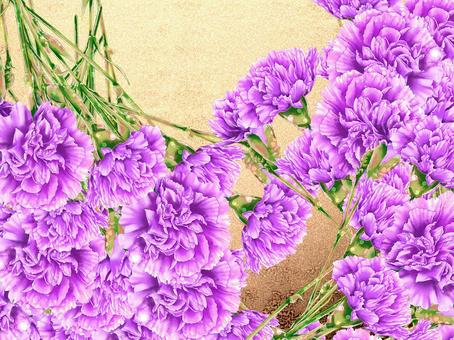 Carnation frame 3, JPG and PNG Carnation frame 3, carnation, flower, plant, JPG and PNG