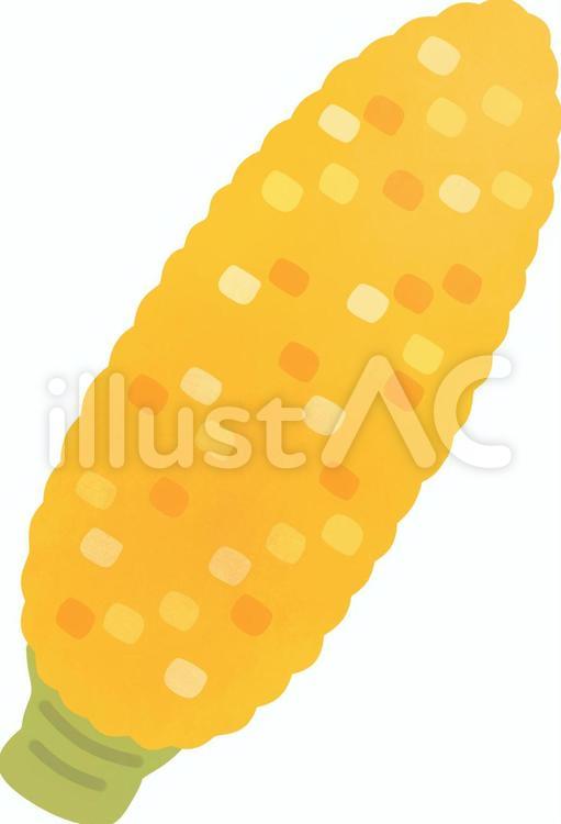 とうもろこし とうもろこし,野菜,夏野菜のイラスト素材