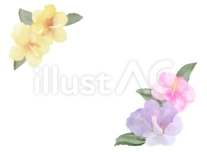 南国の花フレーム水彩画風 ハイビスカス