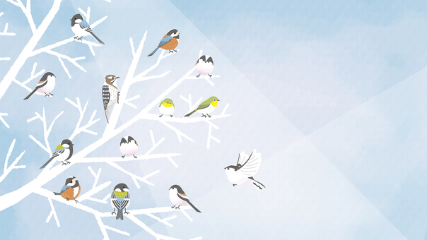 かわいい冬の背景イラスト-小鳥の混群- 小鳥,鳥,野鳥,混群,シジュウカラ,エナガ,コゲラ,メジロ,スズメ,ヤマガラのイラスト素材