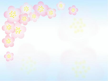 梅のフレーム_大きい花_3 梅,花,植物,かわいい,きれい,フレームのイラスト素材