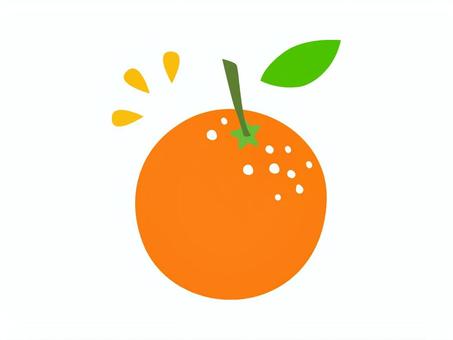 みかん みかん,果物,フルーツ,秋,静岡,柑橘系,酸っぱい,酸味,甘味のイラスト素材