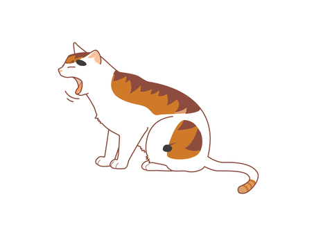 猫のあくび　単品　三毛猫 動物,三毛,猫,眠い,眠気,あくび,飽き,つまらない,退屈,暇のイラスト素材