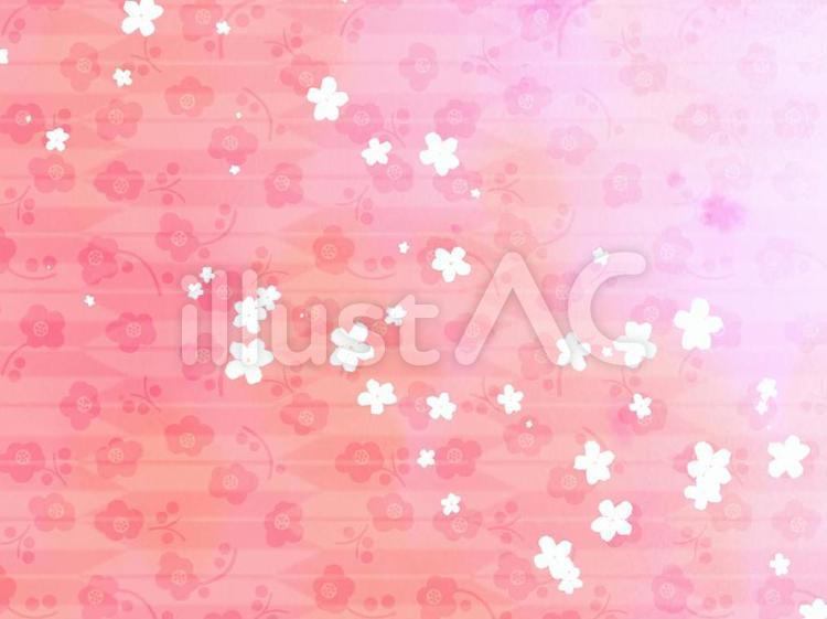 和風花４ 模様,綺麗,ピンクのイラスト素材
