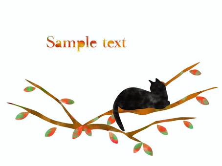 Deciduous leaves and cats _ 04, cat, black cat, animal, JPG and PNG