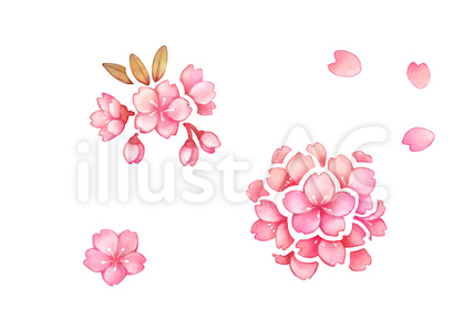 桜 カットイラスト
