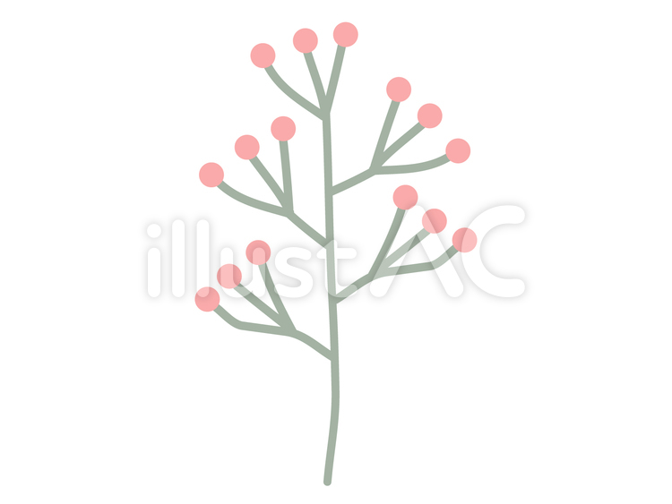 赤い実の植物 しょくぶつ,植物,緑のイラスト素材