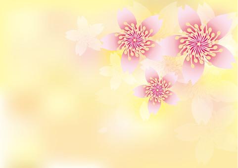 Illustration, flower, cherry blossoms, spring, JPG and AI