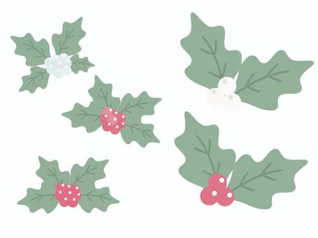 淡いくすみカラーのヒイラギの実_セット ヒイラギ,クリスマス,冬,北欧風,飾り,大人かわいい,くすみカラー,セット,ホワイト系,レッド系のイラスト素材