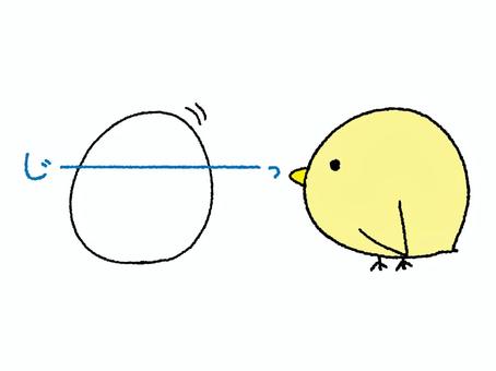 タマゴを見つめるひよこ タマゴを見つめるひよこ ひよこ,タマゴ,見る,可愛い,pop調,手描き,挿絵,ワンポイント,素材,商用可のイラスト素材