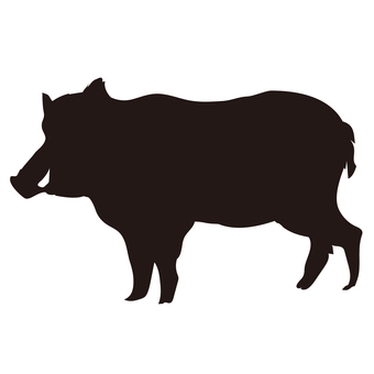 イノシシ 牙 シルエット イノシシ,猪,シルエット,牙,親,危険,注意,注意喚起,散歩,山のイラスト素材