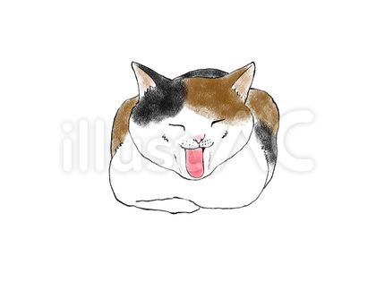 ねこ あくび 05 三毛