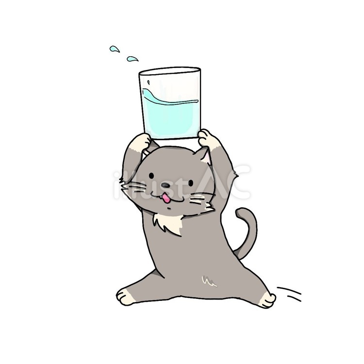 水分とって　文字なし 動物,生き物,猫のイラスト素材