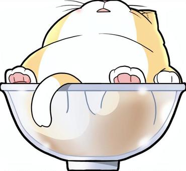 A cat that fits in a bowl, JPG and PNG A cat that fits in a bowl, cat, animal, tea tiger, JPG and PNG