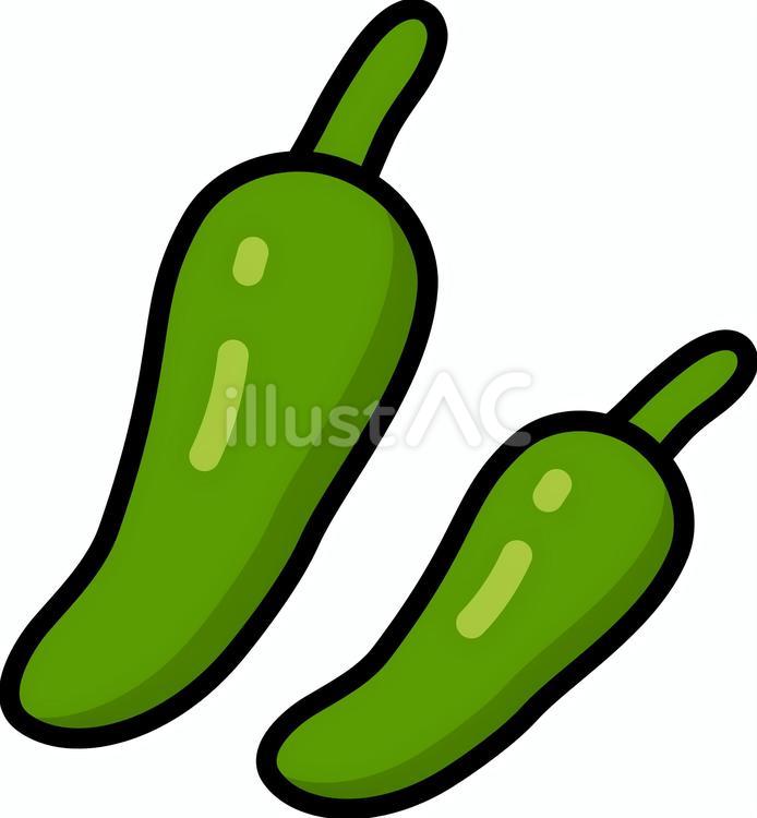 ししとう ししとう,緑,青唐辛子のイラスト素材