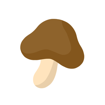 きのこ きのこ,キノコ,きのこ狩り,食べ物,食材のイラスト素材