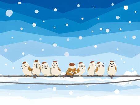 冬のすずめ01 すずめ,冬,電線,雪,空のイラスト素材