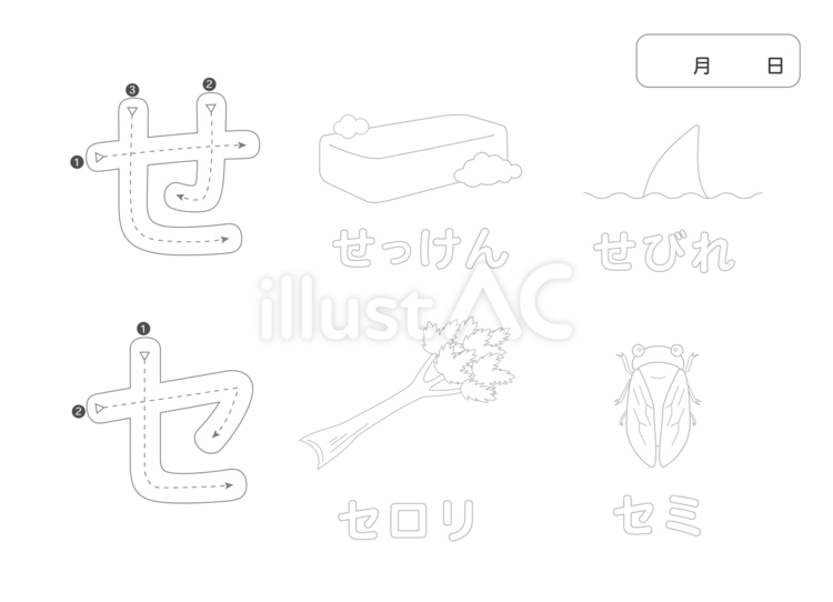 ひらがな・カタカナ練習帳「せ」と「セ」 カタカナ,ぬりえ,塗り絵のイラスト素材