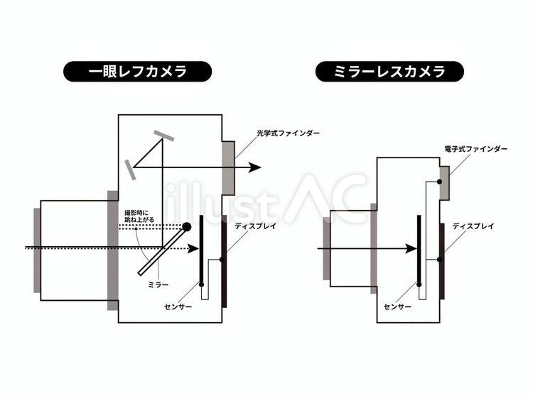 デジタル一眼とミラーレスのしくみＣ カメラ,デジイチ,一眼レフのイラスト素材
