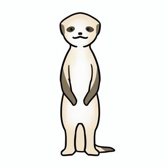 Meerkat, , JPG and PNG