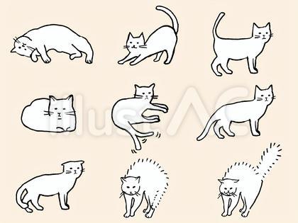 手描き猫ボディーランゲージセット白