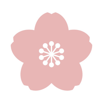 ピンクの桜の花