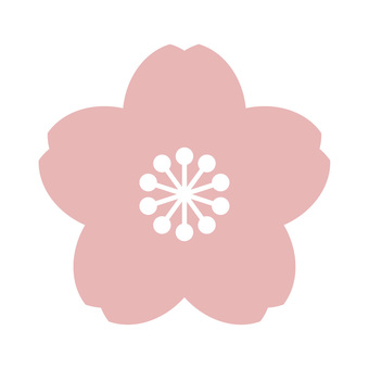 Pink cherry blossoms, , JPG, PNG and AI