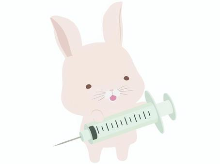 Syringe _ rabbit, , JPG, PNG and AI