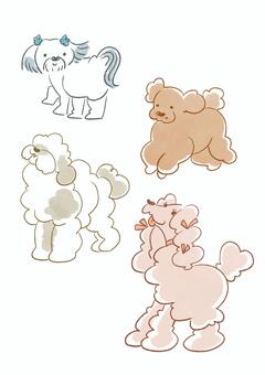 Illustration, dog, a pet, shih tzu, 