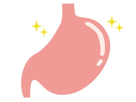 健康な胃のイラスト 胃,健康,胃袋,元気,かわいい,内臓,検診,消化器官,消化,ハツラツのイラスト素材