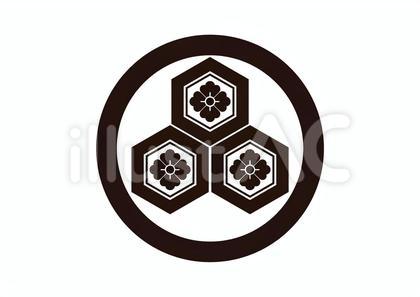 丸に三つ盛り亀甲に花角