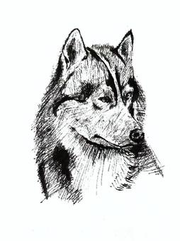 動物２ 動物,生き物,犬,モノクロ,手描きのイラスト素材