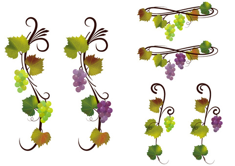 ラインフレーム - 水彩風 秋の葡萄02 ブドウ,果物,グレープ,マスカット,フルーツ,食べ物,草花,収穫,葡萄棚,草のイラスト素材