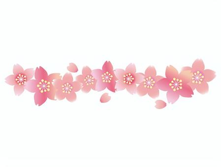 Cherry Blossoms, cherry blossoms, sakurafubuki, cherry blossoms, JPG and PNG