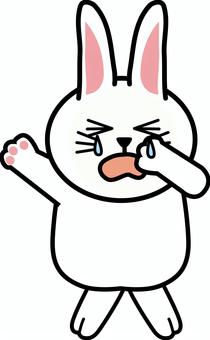 兎悲しい