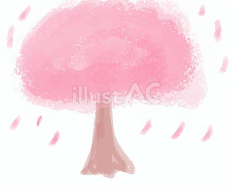 一本桜 桜,一本桜,花のイラスト素材