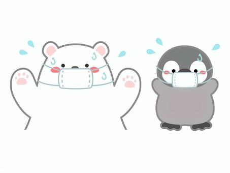 風邪を引いたシロクマとペンギン 風邪,熱,発熱,マスク,シロクマ,ペンギン,かわいい,動物,イラスト,素材のイラスト素材