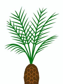 Illustration of growing leaves of palm plants, , JPG and PNG