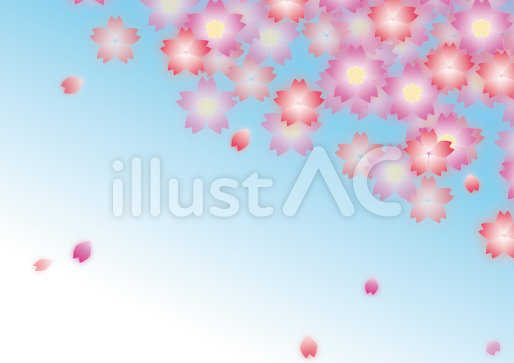 桜の背景（背景水色） 桜,春,シンプルのイラスト素材