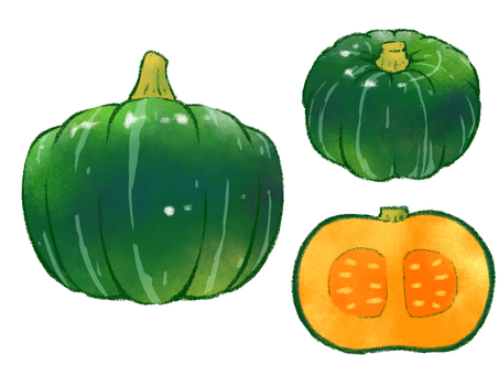 かぼちゃ 3点セット 野菜,根菜,かぼちゃ,カボチャ,南瓜,パンプキン,緑,オレンジ,断面,正面のイラスト素材