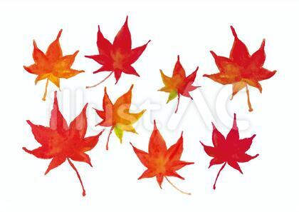《水彩風》紅葉2