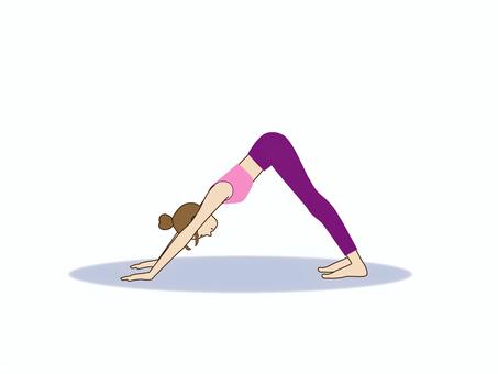 ヨガ＿ダウンドッグ　ピンク ヨガ,ポーズ,ダウンドッグ,女性,ヨガウェア,趣味,カルチャーセンター,フィットネス,健康のイラスト素材