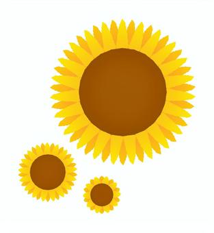 ひまわり（大・中・小）