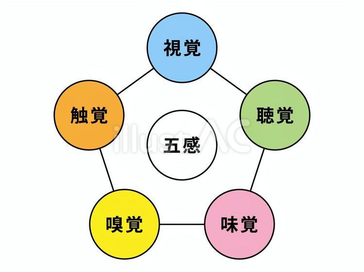 五感 五感,視覚,聴覚のイラスト素材
