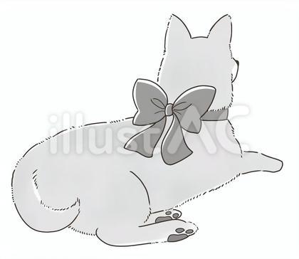 おめかし 柴犬 (グレー)